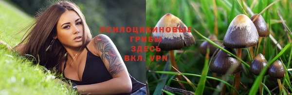 дмт Надым