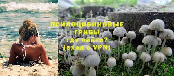 MDMA Михайловск