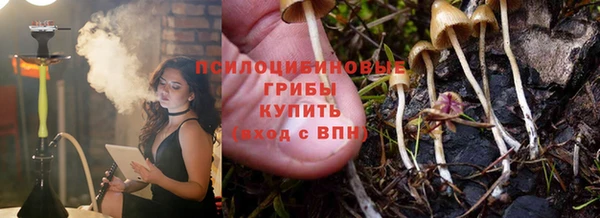 дмт Надым