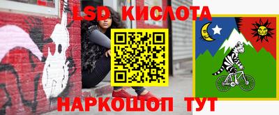 спиды Гусев