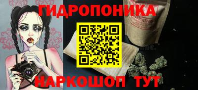 бошки Бийск