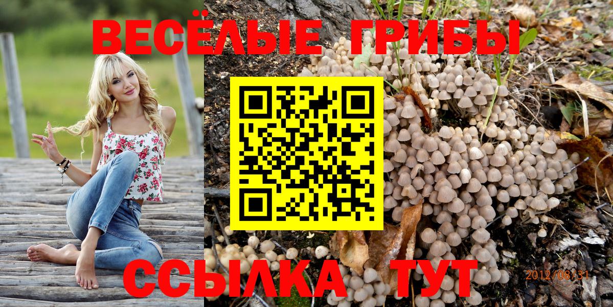 Псилоцибиновые грибы Magic Shrooms  Знаменск 