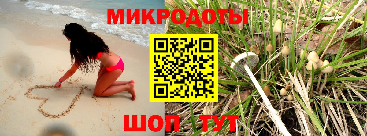 Галлюциногенные грибы MAGIC MUSHROOMS  Вход с VPN  Знаменск 