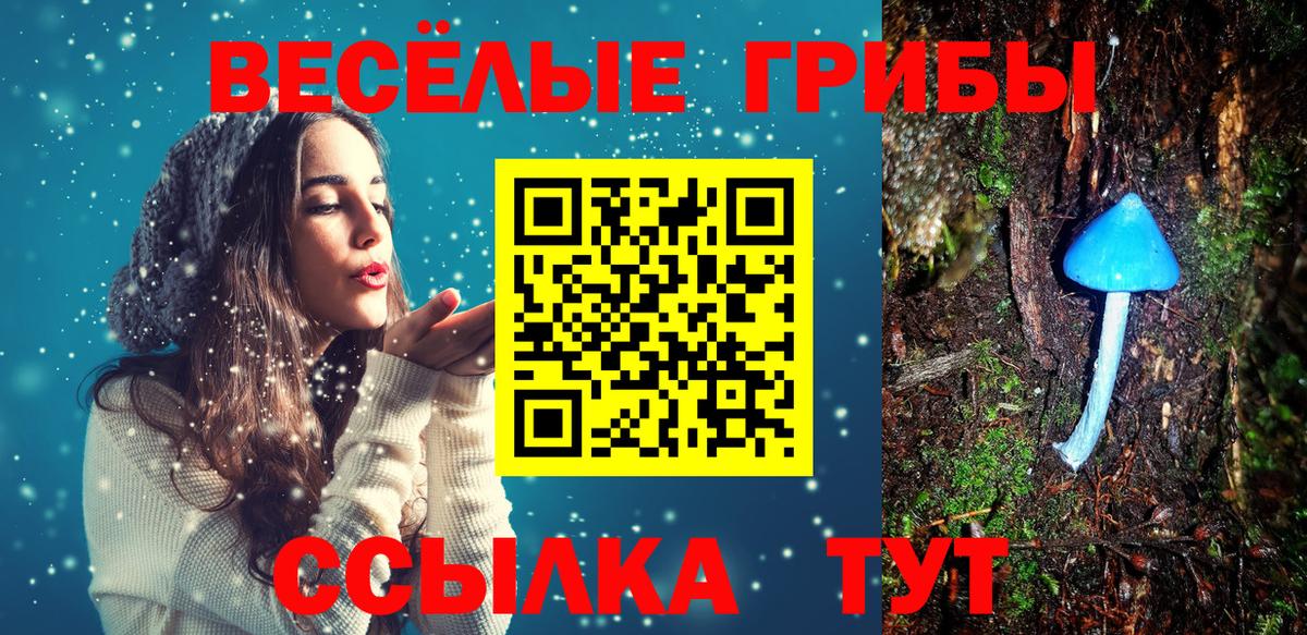 Галлюциногенные грибы ЛСД Знаменск